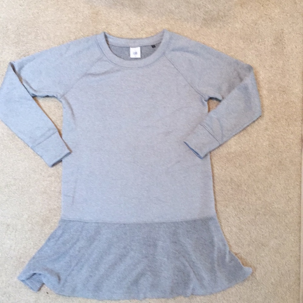 NWOT CABI Flashdance Dress Fall 2017 - size medium